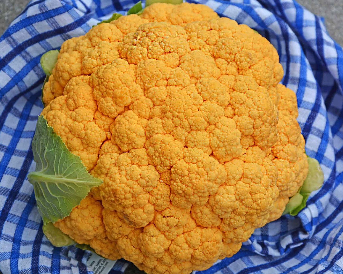 Cauliflower: Clementine