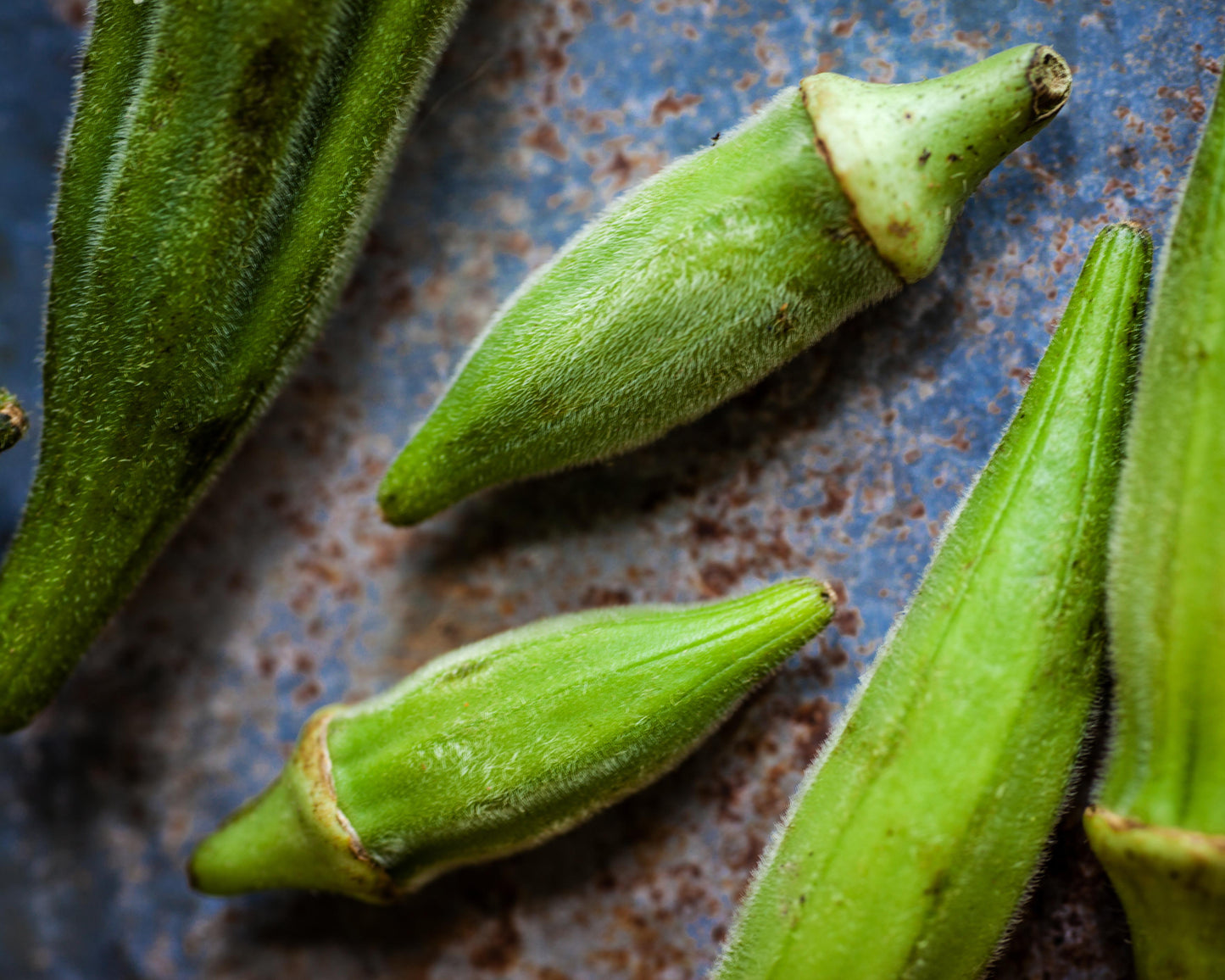 Okra: Clemson Spineless