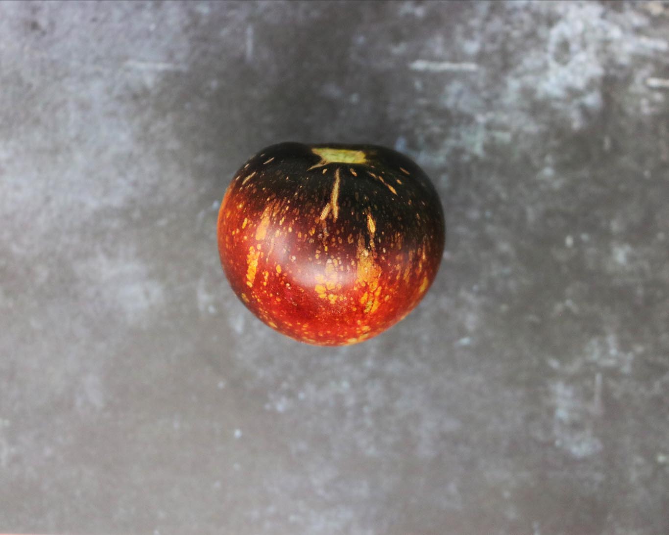 Tomato: Dark Galaxy