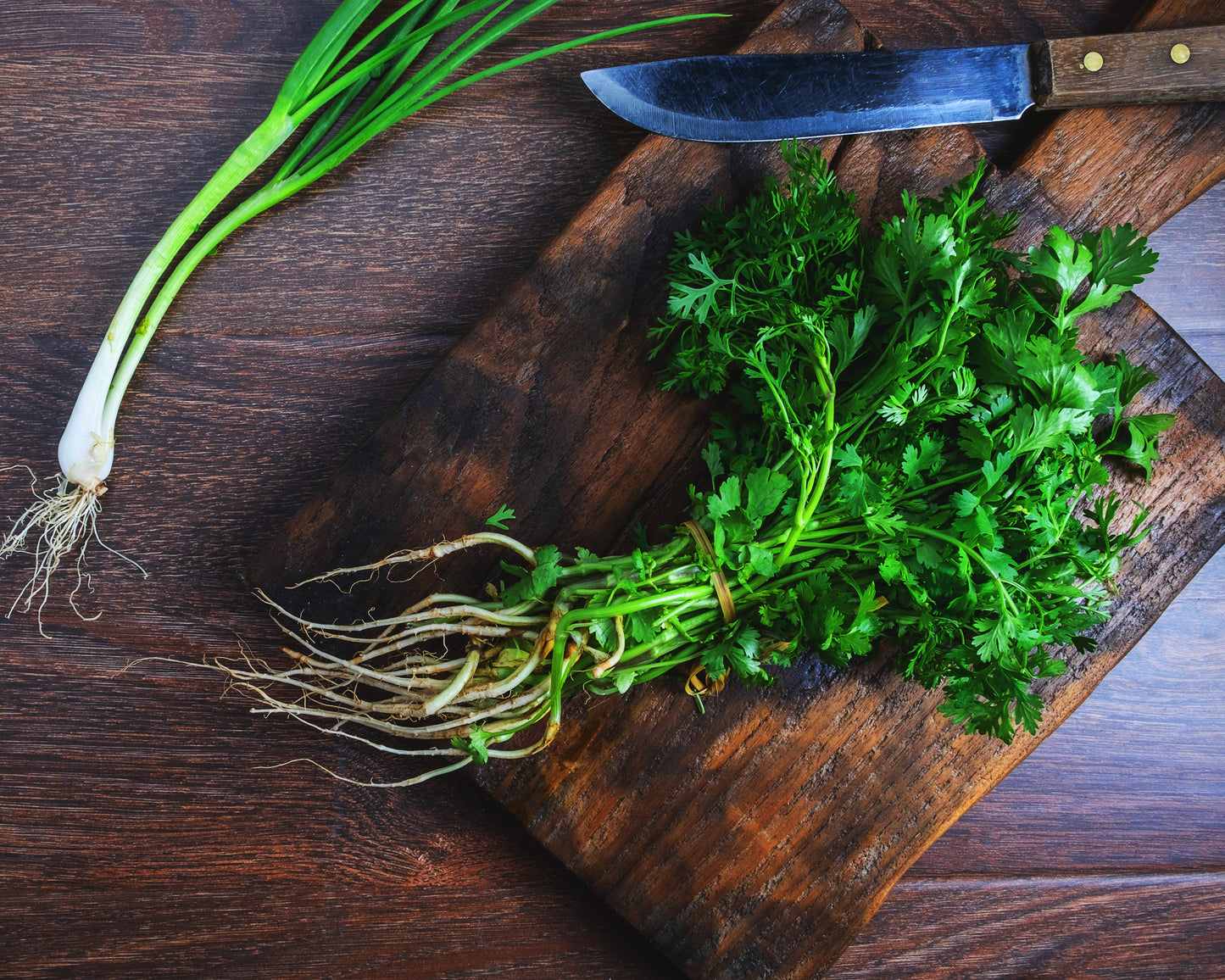 Herb, Parsley: Dark Green