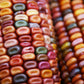 Corn: Earth Tones Dent
