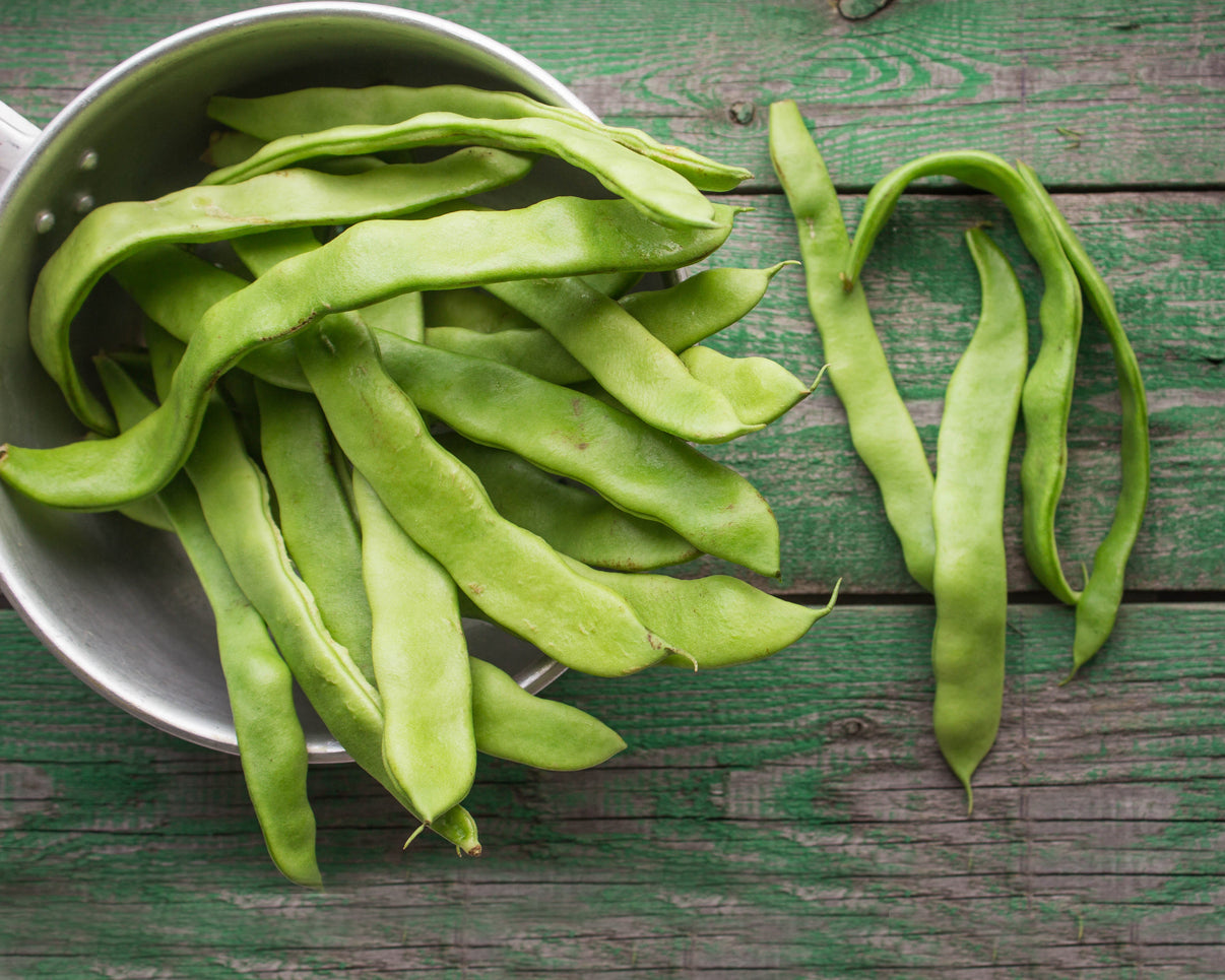 BeanLima Fordhook Hand Me Down Farms