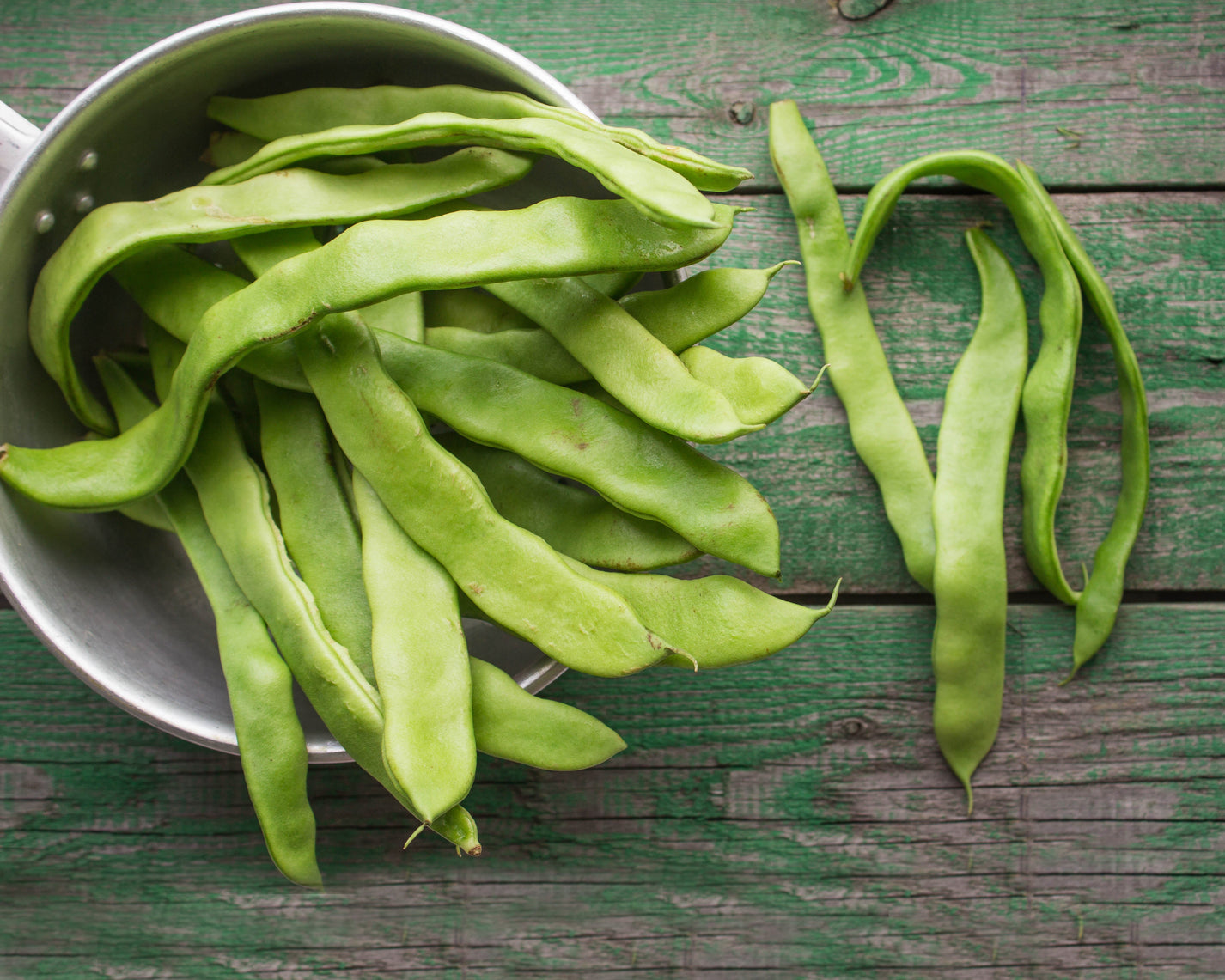 Bean, Lima Fordhook Vintage Seed Co.