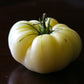 Tomato: Great White
