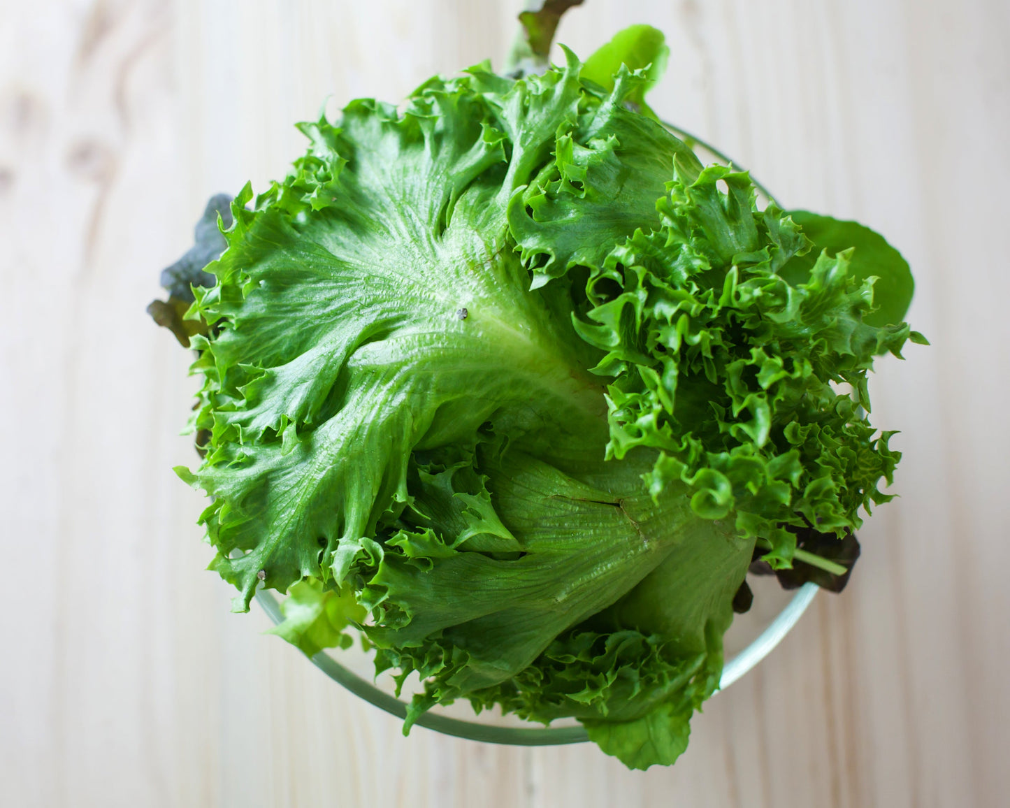 Lettuce: Green Ice