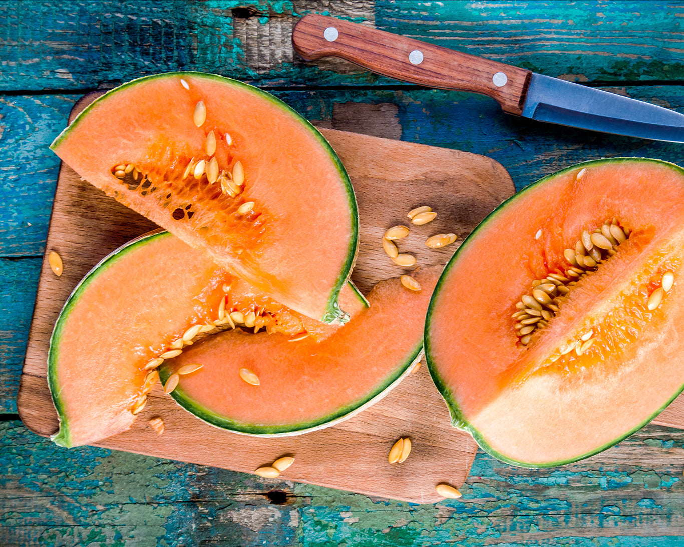 Melon: Hales Best Jumbo