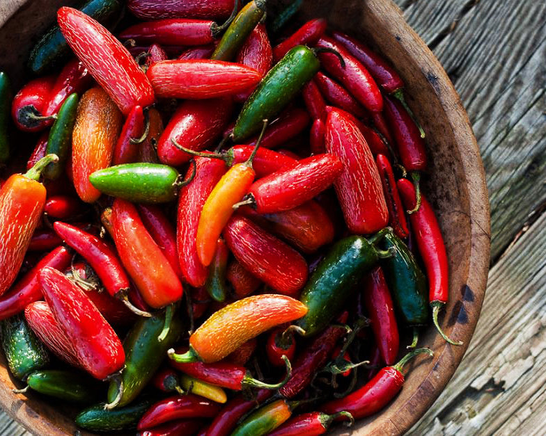 Pepper, Hot: Early Jalapeno