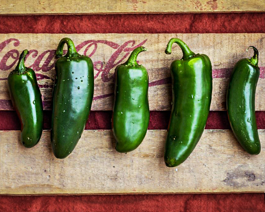 Pepper, Hot: Early Jalapeno