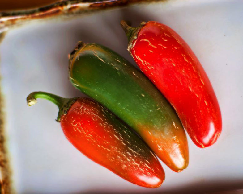 Pepper, Hot: Early Jalapeno