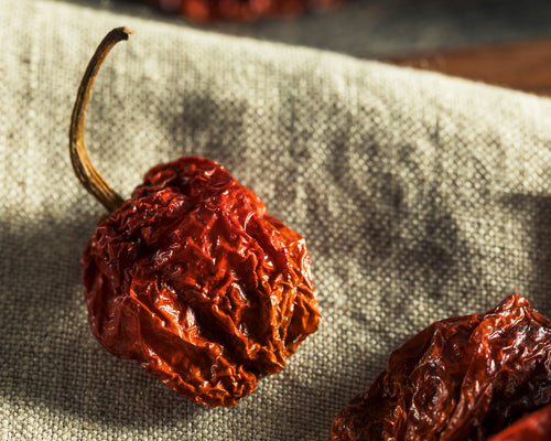 Pepper, Hot: Trinidad Moruga Scorpion- Red