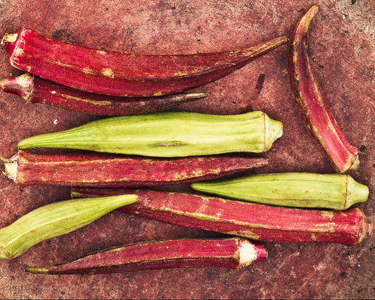 Okra: Red Burgundy