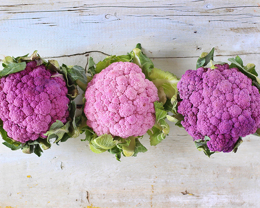 Cauliflower: Graffiti Purple