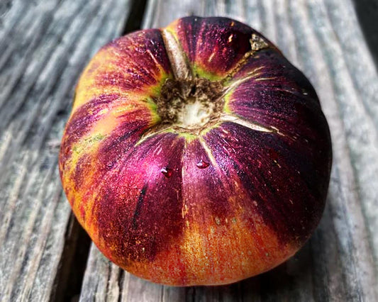 Tomato: Purple Sunrise