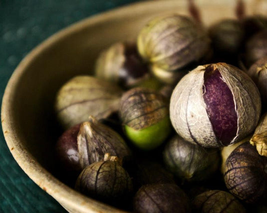 Tomatillo: Morado