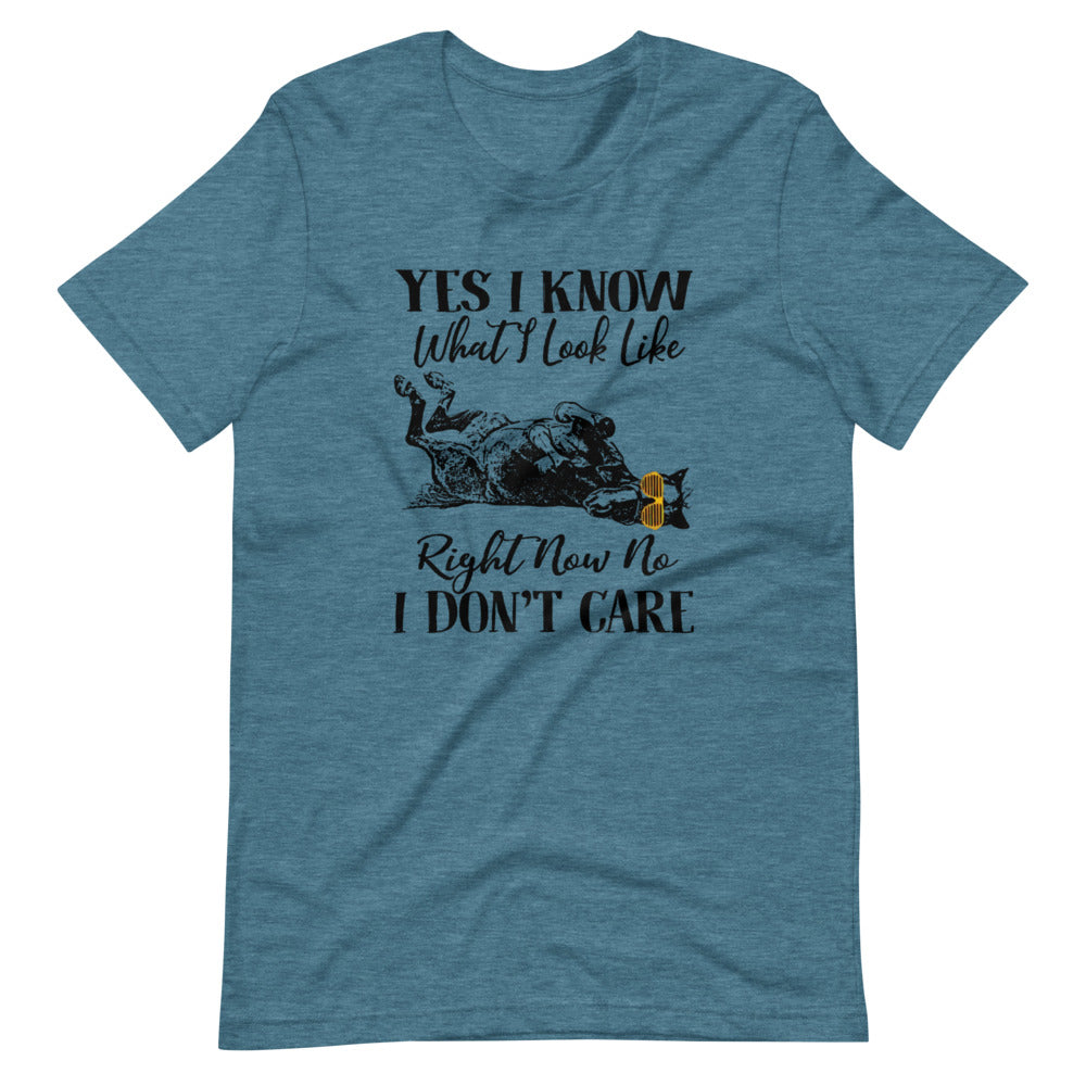 Yes I Know What I Look Like Tee Shirt (6149681119387)
