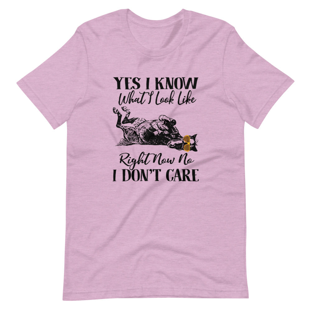 Yes I Know What I Look Like Tee Shirt (6149681119387)