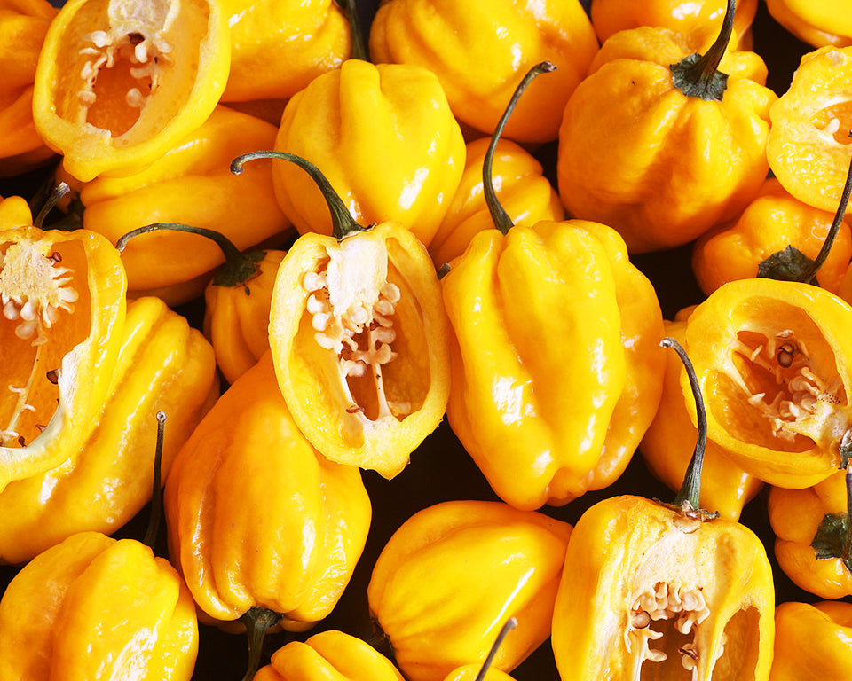 Pepper, Hot: Habanero- Yellow